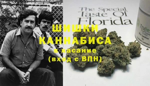 PSILOCYBIN Балахна