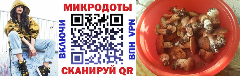 Псилоцибиновые грибы мицелий цена Суровикино