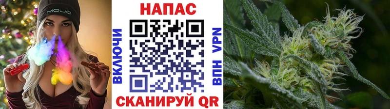 Марихуана SATIVA & INDICA  Суровикино 